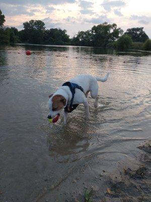 Dog beach & swimming area.