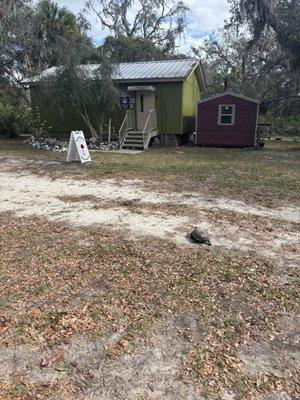 A gopher tortoise that was very suspicious of me being any closer than this