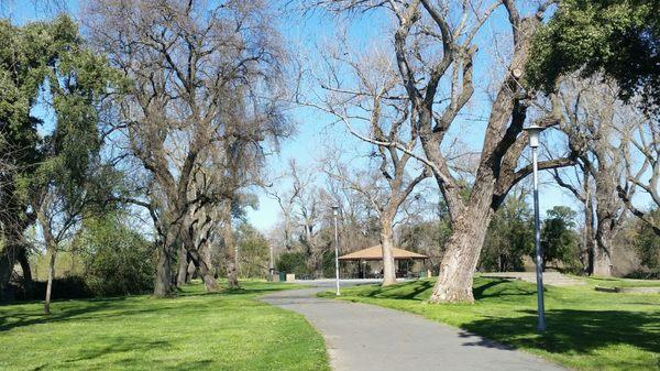 Walkway leading to picnic area