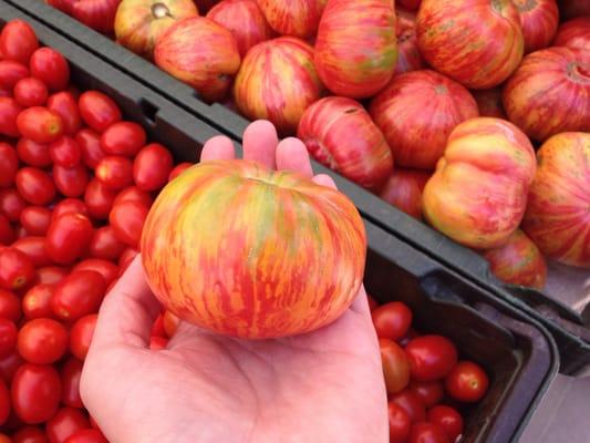 Heirloom tomato (July)