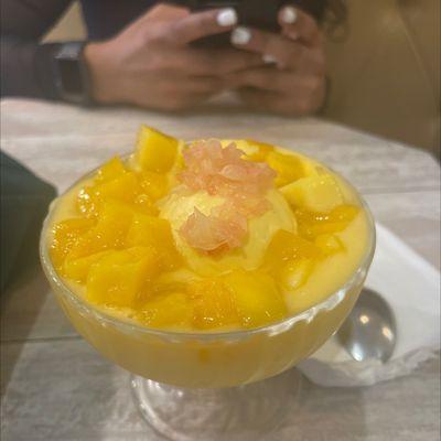 A1. Special Mango Juice Sago and Pomelo with Mango Ice Cream