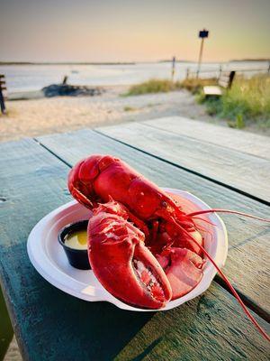 Mac's Seafood - Wellfleet