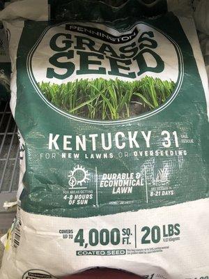 Kentucky 31's Tall Fescue ($59)