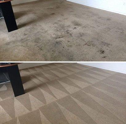 Carpet Cleaning