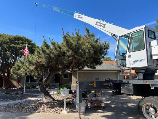 They used this crane to remove the old compressor and carefully lower the new unit in place.