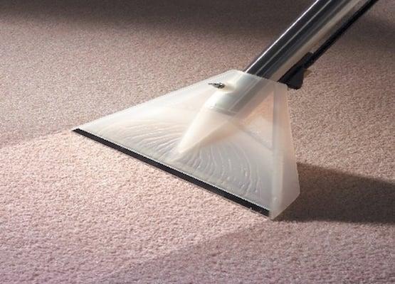 Cleenrite Carpet and Upholstery Cleaning Service