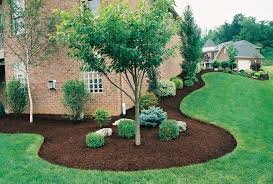 Landscaping tree planting with mulch design