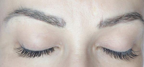 Hybrid lash set by Van .