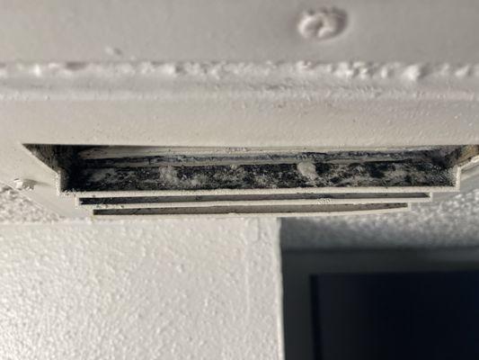 Black mold