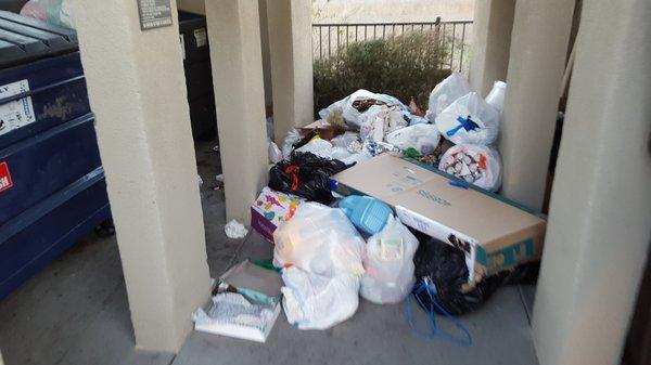 This is a photo taken on 12/27/2016 of the daily mess left by this company at Alexan Melrose apartments