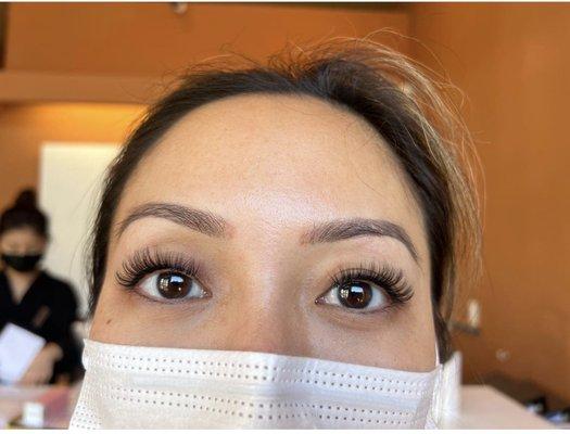 Lash extensions