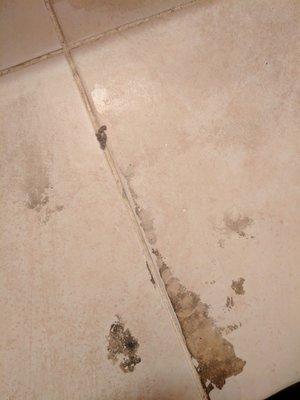 There were more bits of grime on the floor AFTER she mopped than before!