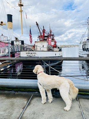 Baci & Seattle Fireboat