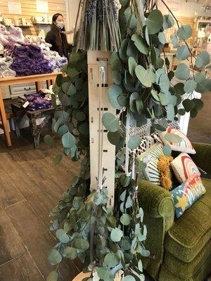 Dried eucalyptus