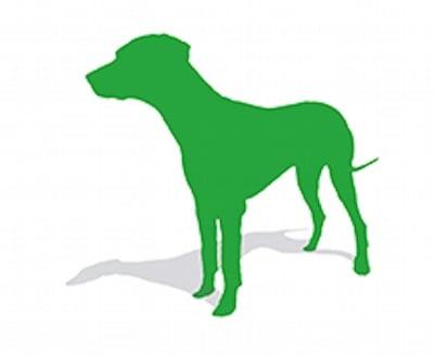 Green Doggy