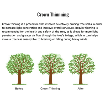 Crown Thinning