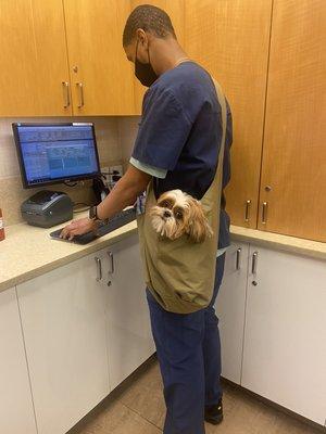 Keeping your pets comfortable as best we can. If he prefers his bag, then we will make it happen!