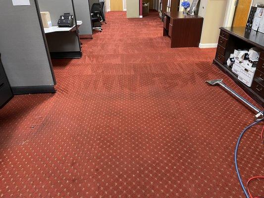 We use powerful commercial grade equipment to restore your commercial carpet.