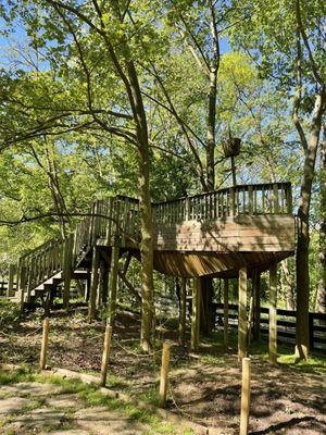 Boat tree house