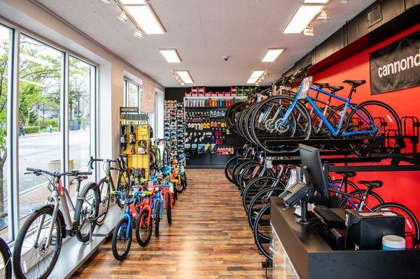 Our welcoming well lit showroom. We have over three dozen bikes to choose from.