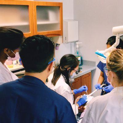 Predental students observing Dr. Hong delivering cosmetic bondings on a patient's front tooth.