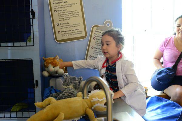 A child playing in the Vet office