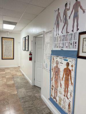 Ling's Acupuncture Clinic