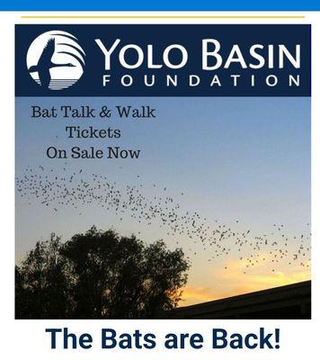 Yolo Basin Foundation