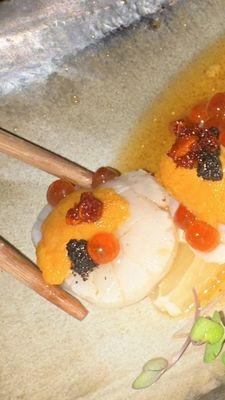 King Scallop with Uni