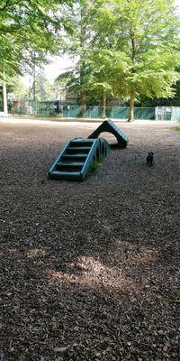 Horsham Dog Park