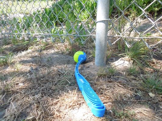 *Regular sized* Chuck-It shown for comparison to gaps under fence. Del Rey Oaks Dog Park.