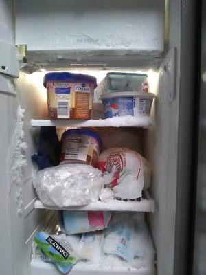 My 'Repaired/Fixed 'freezer by Expert Corbin with Astro Appliance. Good thing there's ice, Right? Expert Contractor?  His name is Corbin.