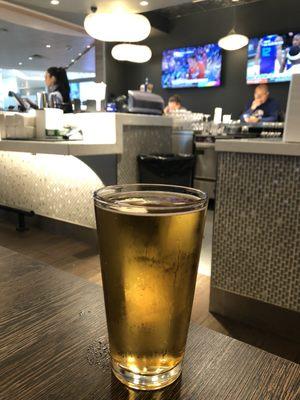 Pre-Flight Bud Light