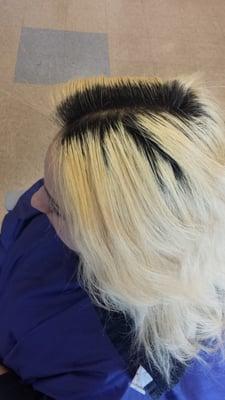 Beautiful hair, Very dark roots. No prob.