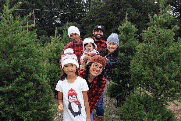 Crest Ranch Choose & Cut Christmas Trees