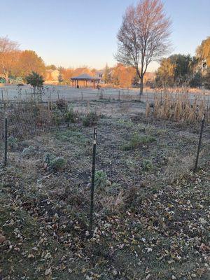 Community garden