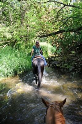 One of our many creek crossings led by Millbrook Trail Rides Manager, Meredith