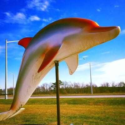 The iconic Dolphin that sets off London Bridge Rd.