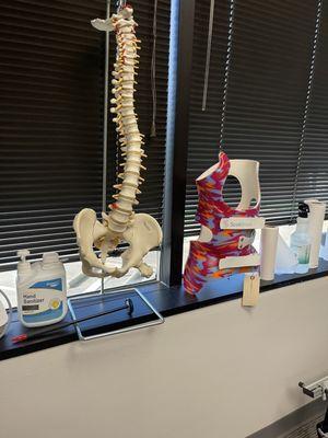 Spine Health & Wellness