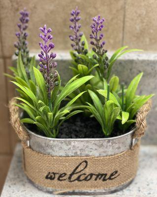 Lovely plant in their bathroom!