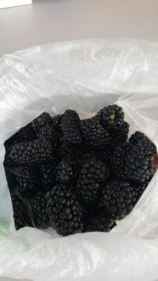 Fresh blackberries