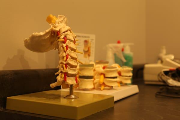 Special models designed to help show what is being done to help aid the patient during the appointment