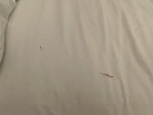 Blood stained sheets