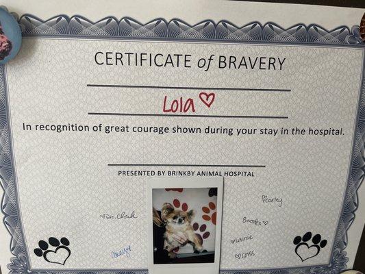 Certificate of bravery