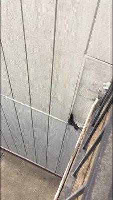 Rotten siding