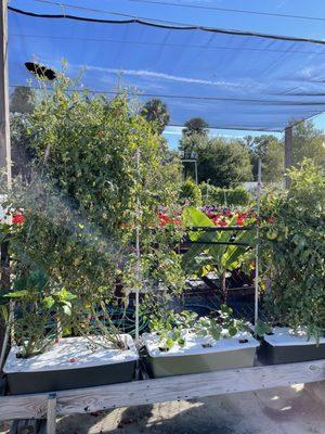 The Earthbox gardening system is pretty cool. Keeps plants warmer and few weeds because of cover so plants grow well!