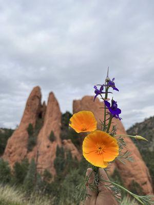 Glen Eyrie