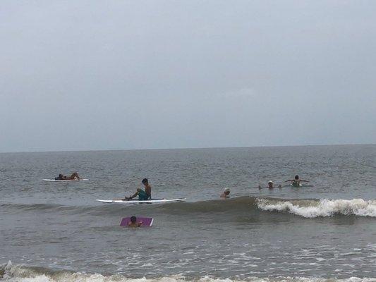 Paddle boards out in the water