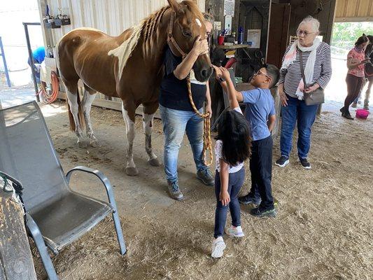 Grandkids first exposure to horses