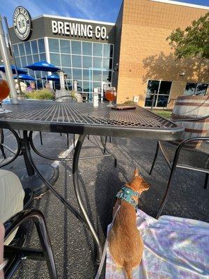 Well-behaved patio pups allowed at raised grain